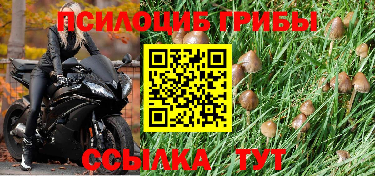 Псилоцибиновые грибы мухоморы Пенза