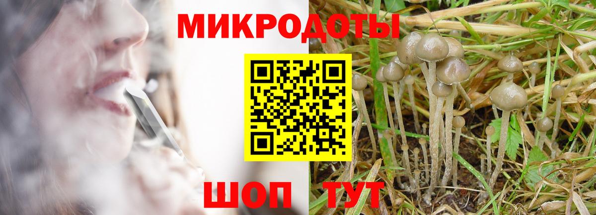 Пенза  Псилоцибиновые грибы Psilocybe  Вход с VPN 